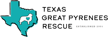 Texas Great Pyrenees Rescue