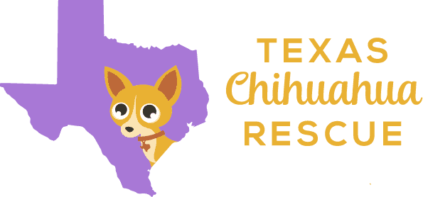 Texas Chihuahua Rescue