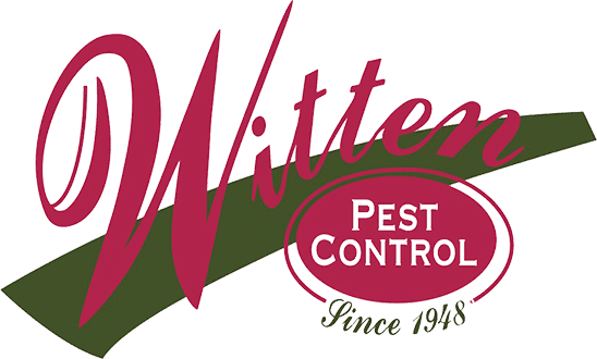 Witten Pest Control